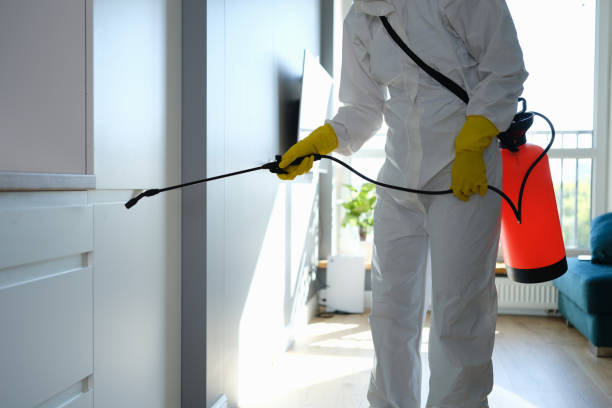 Mold Removal Process in Oakland, IA
