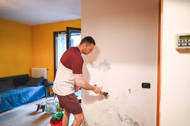 Best Black Mold Removal  in Oakland, IA