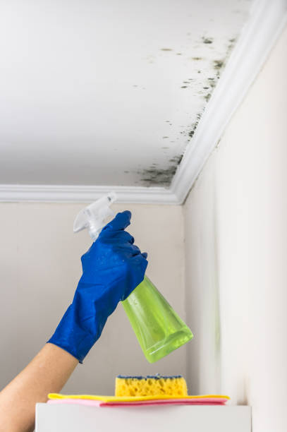 Best Mold Testing  in Oakland, IA